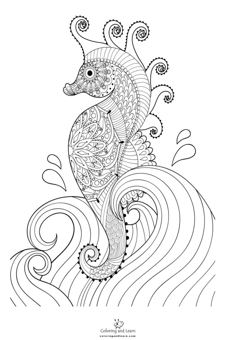 sea-horse-coloring-page