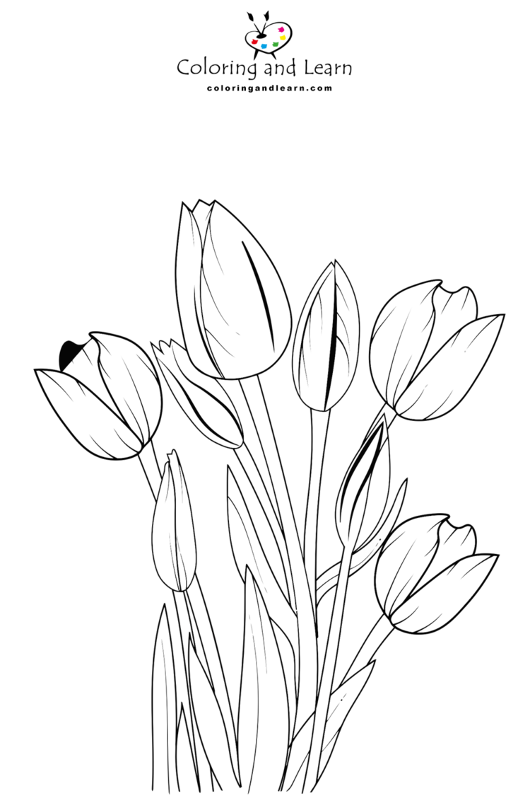 Tulips Coloring Pages (FREE) (2025) Coloring and Learn