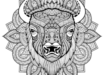 bison-face-coloring-page