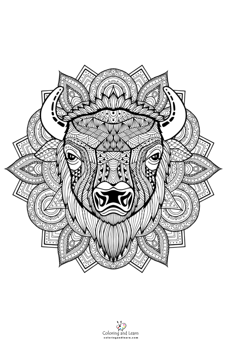 bison-face-coloring-page
