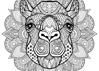 camel-face-coloring-page