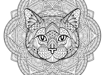 cat-face-coloring-page