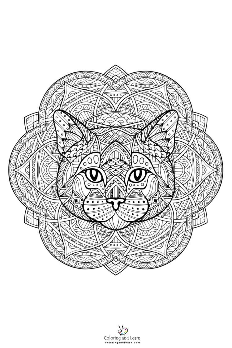 cat-face-coloring-page