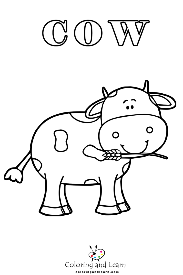 cow coloring pages 1