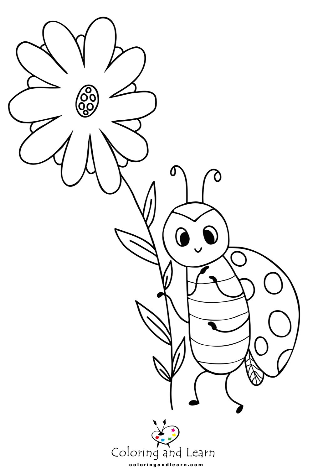 ladybug coloring pages 5