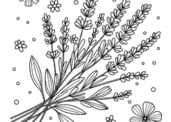lavender coloring pages
