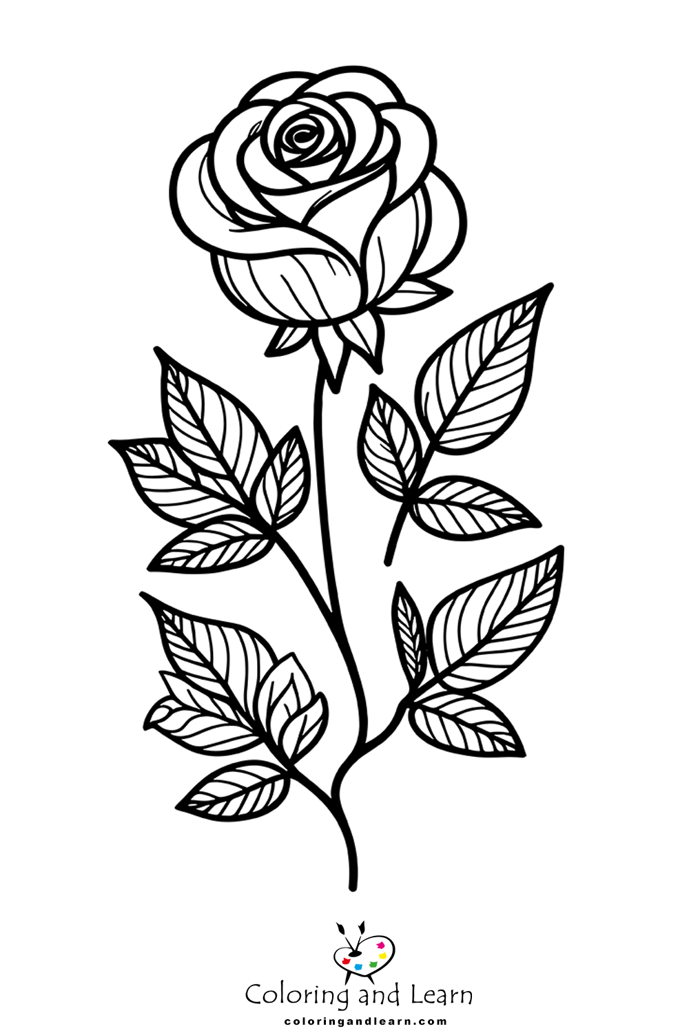 rose coloring pages 1