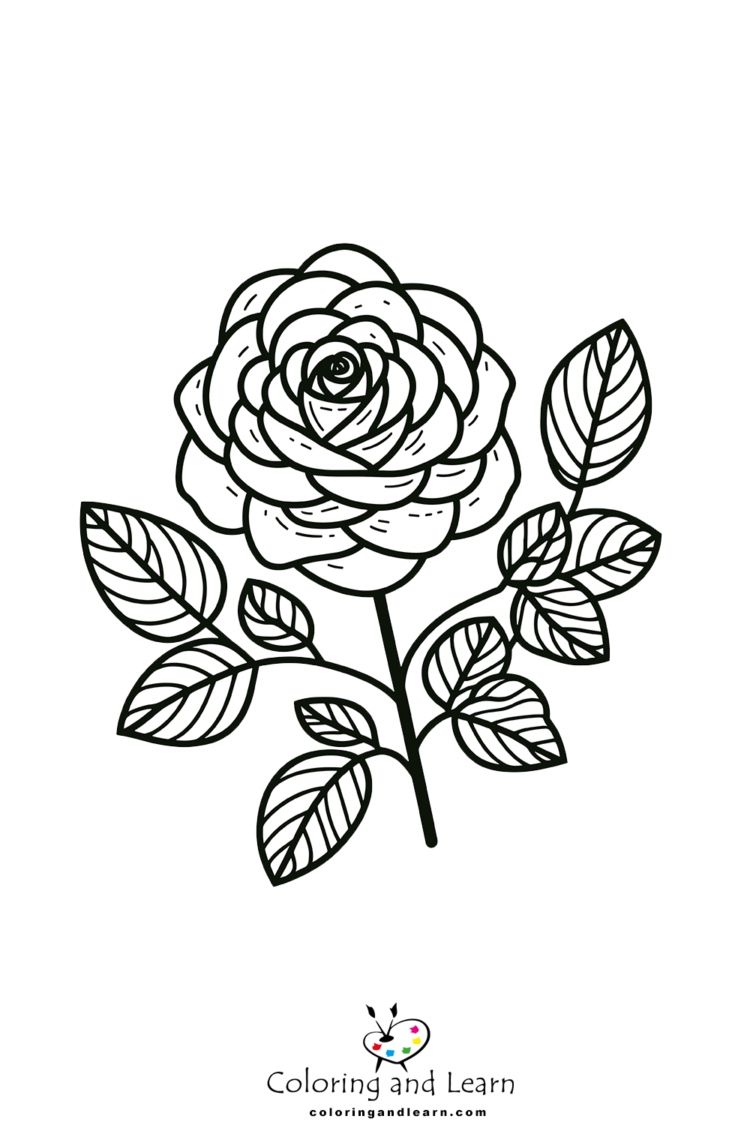 rose coloring pages 3