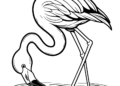 flamingo coloring pages 1