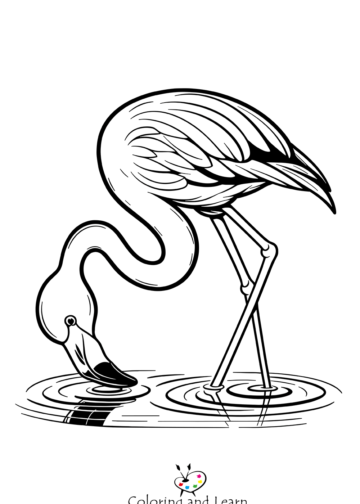 flamingo coloring pages 1