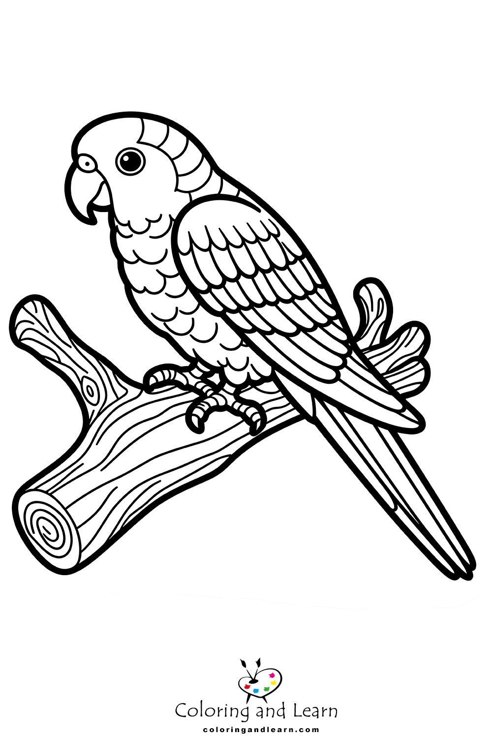 parrot coloring pages 1