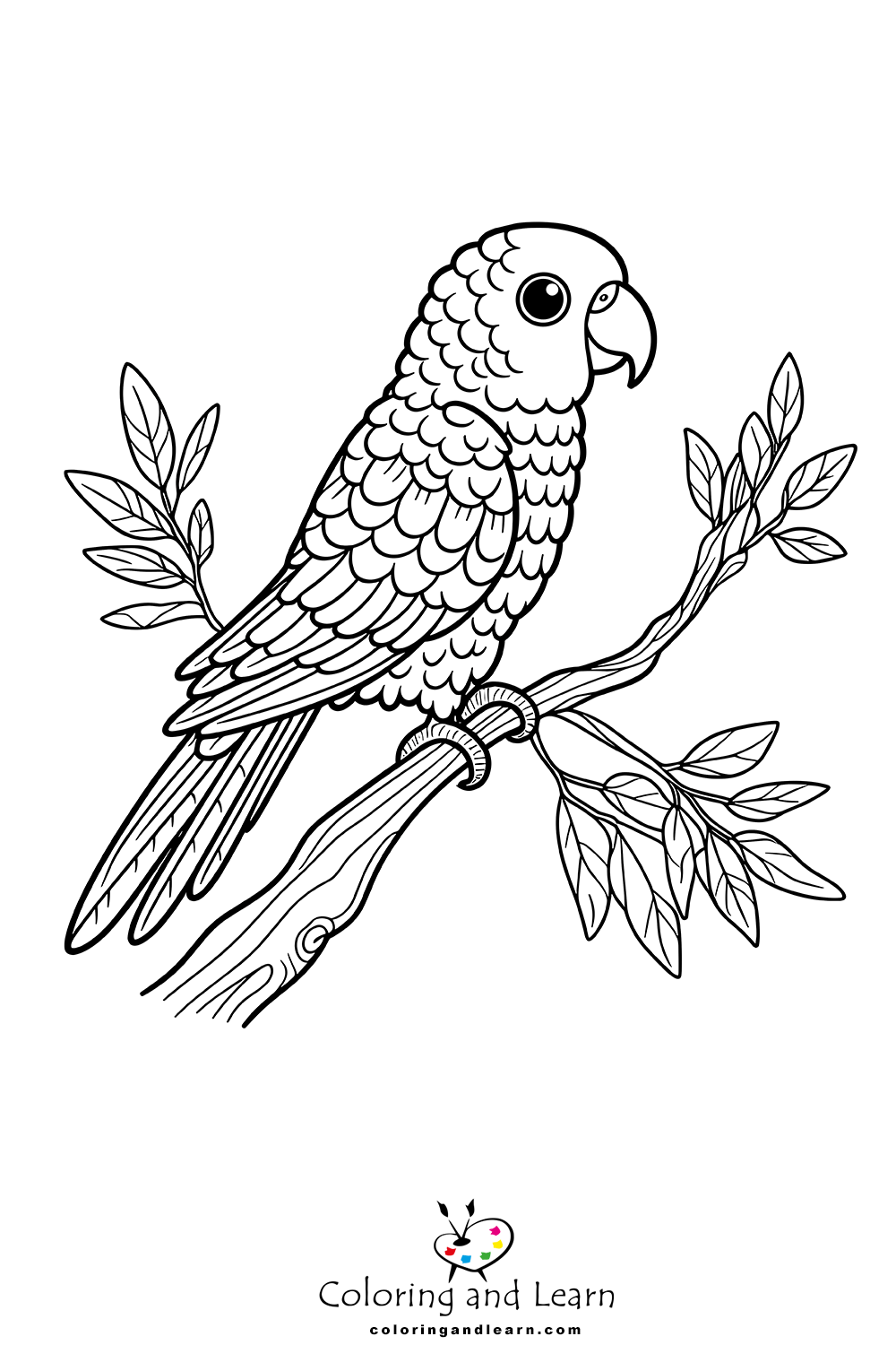 parrot coloring pages 2 parrot coloring pages 2